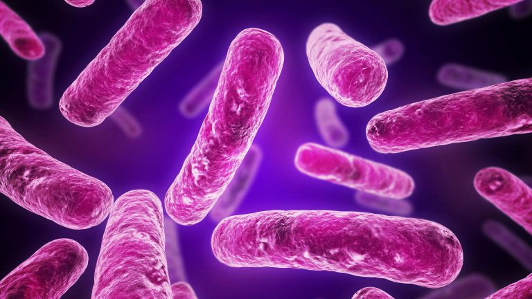 Get custom meal plan for breakfast, lunch, dinner, snacks with recipes & tips at Liv Wellness. Start today.